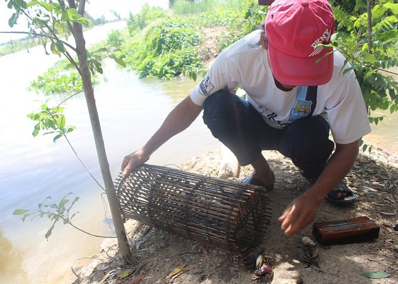 Năm nay lũ về sớm lại lên rất nhanh khiến cho việc đánh bắt cũng không thuận lợi. 