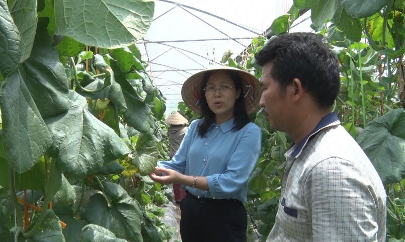 Mô hình trồng dưa lưới hữu cơ của anh Đặng Văn Đăng. Mô hình trồng dưa lưới hữu cơ của anh Đặng Văn Đăng.