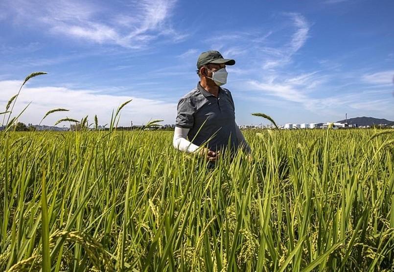 Những nông dân Hàn Quốc thường xuyên tham gia các chương trình giáo dục nhằm tìm hiểu về công nghệ nông nghiệp tiên tiến.