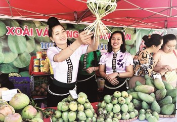 Những nông dân làm giàu nơi đại ngàn Tây Bắc