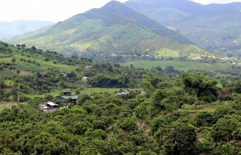 Sơn La có 84.000ha cây ăn quả, là địa phương có diện tích cây ăn quả lớn nhất miền Bắc và đứng t.hứ 2 cả nước Sơn La có 84.000ha cây ăn quả, là địa phương có diện tích cây ăn quả lớn nhất miền Bắc và đứng t.hứ 2 cả nước