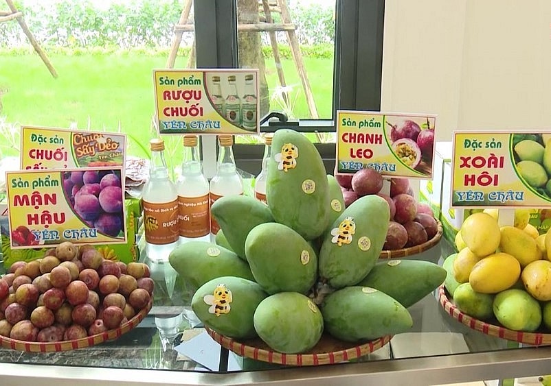 Nông sản Sơn La đa dạng, có chất lượng cao.