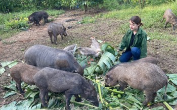 Cô gái rời thị thành về phố núi làm giàu từ nông nghiệp sạch