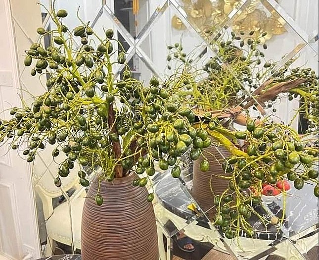 Chị em “phát sốt” với cành quả “đẹp - độc - lạ” cắm bình