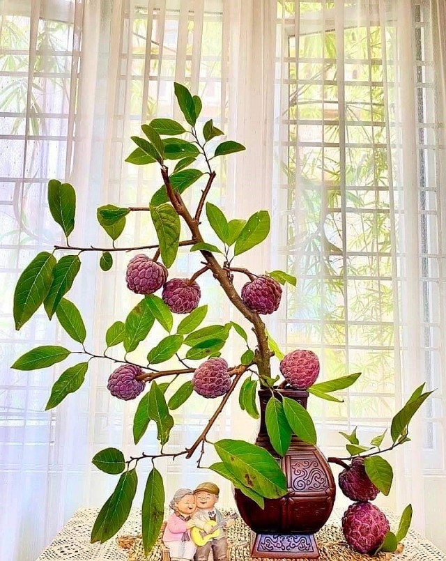 Chị em “phát sốt” với cành quả “đẹp - độc - lạ” cắm bình