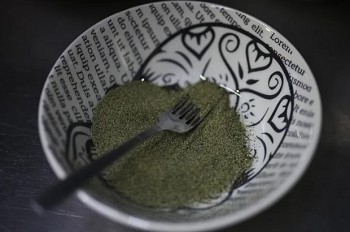 Trứng cá muối Mexico món đắt đỏ đứng trước nguy cơ biến mất