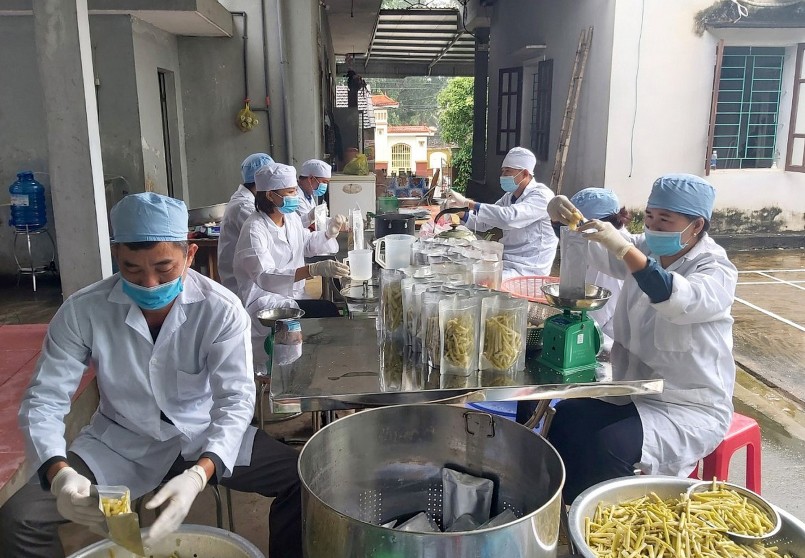 Măng loi thứ đặc sản hiếm có của xứ Nghệ