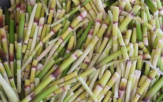 Măng loi thứ đặc sản hiếm có của xứ Nghệ