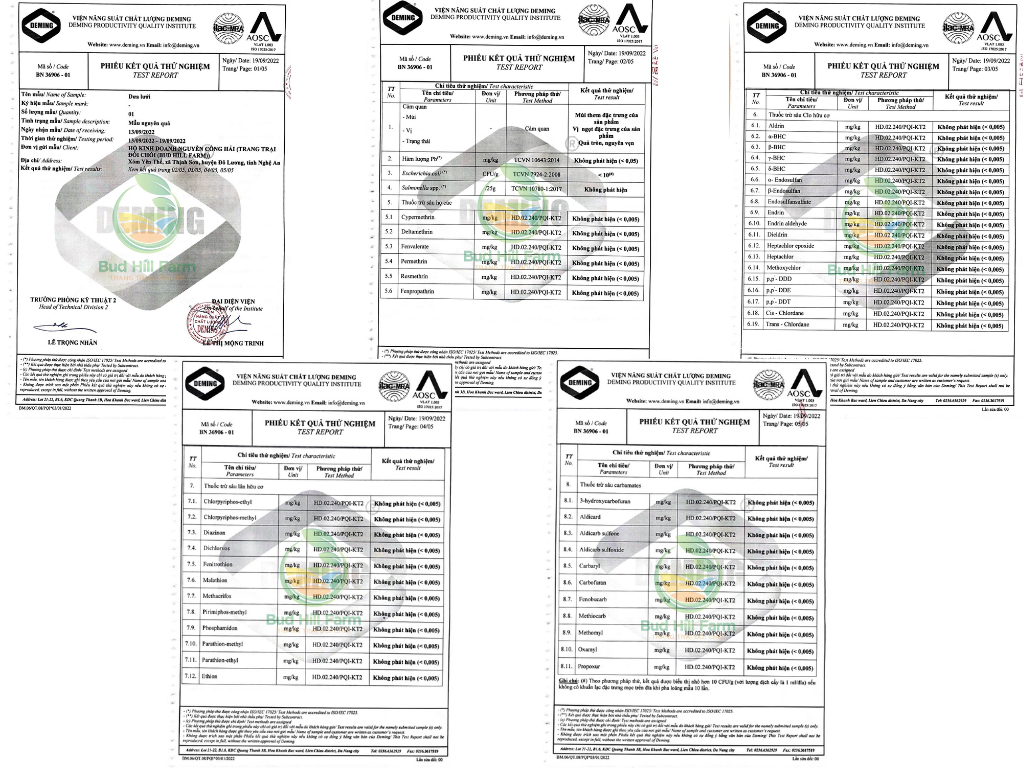 Vụ đầu tiên, mỗi nhà màng thu về khoảng gần 3 tấn. Giá bán giao động từ 60.000 – 85.000 đồng/1kg đối với từng loại dưa. Vụ đầu tiên, mỗi nhà màng thu về khoảng gần 3 tấn. Giá bán giao động từ 60.000 – 85.000 đồng/1kg đối với từng loại dưa.