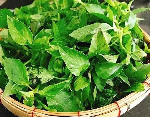 Lá é còn có tên là é trắng, hương thảo, húng lông, tiến thực, trà tiên. 