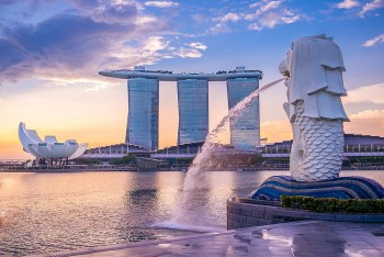 Cán cân thương mại Việt Nam - Singapore khá cân bằng