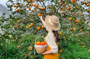 Những địa danh đẹp hút hồn không kém Đà Lạt chỉ cách Hà Nội khoảng 100km