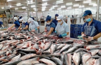 Xuất khẩu cá tra tăng gấp đôi trong tháng 9