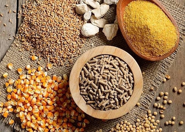 Hai mặt hàng nông sản chính là ngô và đậu tương được Việt Nam mua nhiều để làm thức ăn chăn nuôi.