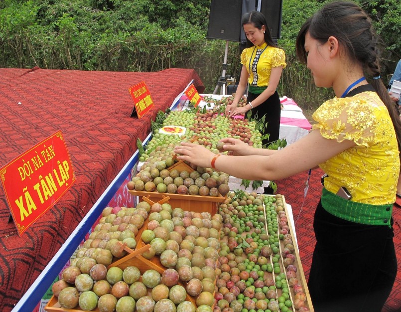 Sơn La nổi lên như một hiện tượng về xuất khẩu nông sản. 