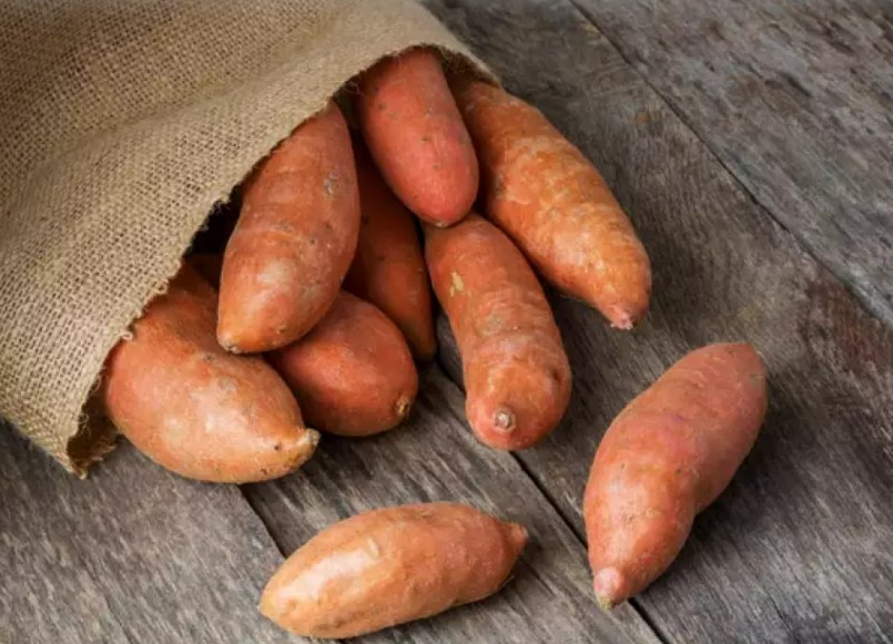 Khoai lang rất giàu chất xơ, nhiều nước nên dễ tiêu hóa. Khoai lang rất giàu chất xơ, nhiều nước nên dễ tiêu hóa.