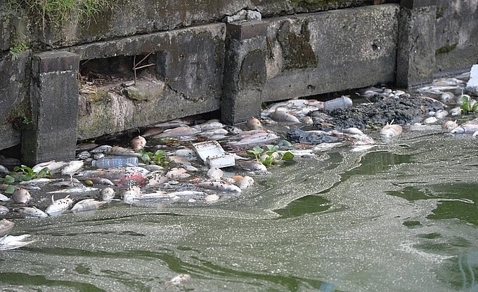 Tại Hồ Tây cũng từng xảy ra đợt cá chết rất nhiều. Tại Hồ Tây cũng từng xảy ra đợt cá chết rất nhiều.