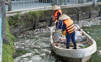 Cá chết ở Hồ Tây: Cần đảm bảo chất lượng môi trường nước