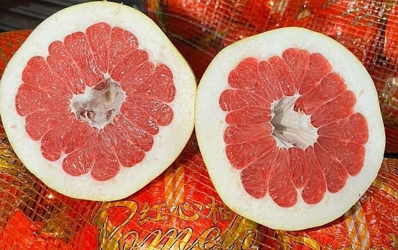 Bưởi đỏ Trung Quốc có giá rẻ hơn hàng Việt rất nhiều. 