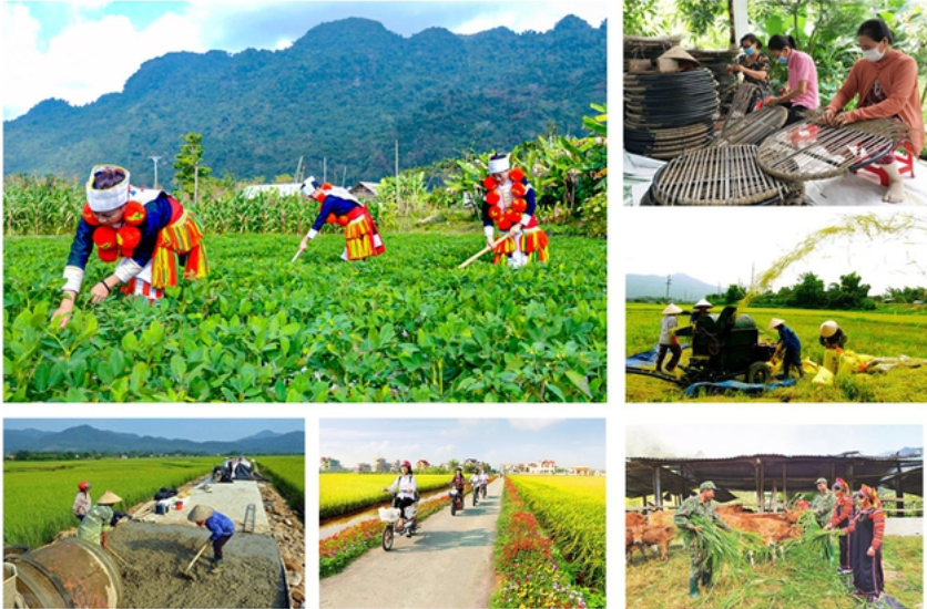 thực hiện 3 Chương trình mục tiêu quốc gia