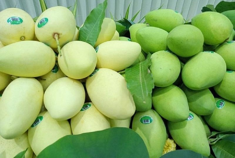 Việt Nam cần mở rộng những thị trường xuất khẩu tiềm năng.