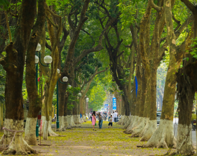 Những điểm chụp ảnh mùa thu Hà Nội tuyệt đẹp không thể bỏ qua