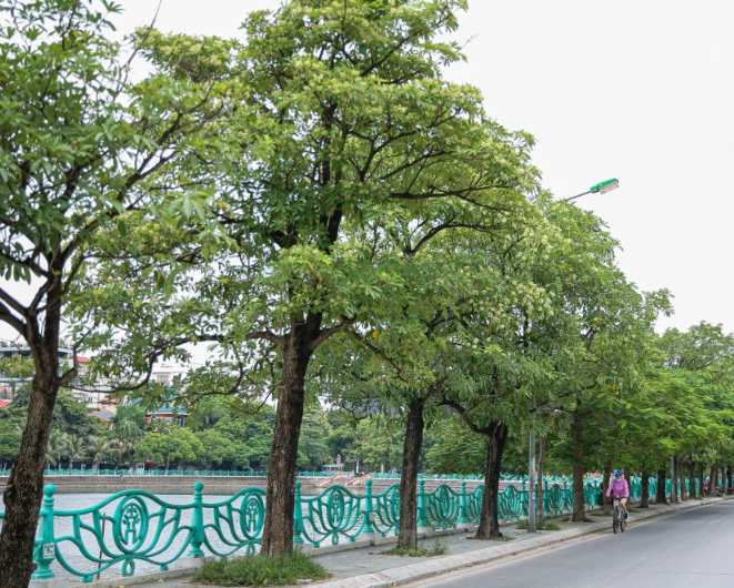 Những điểm chụp ảnh mùa thu Hà Nội tuyệt đẹp không thể bỏ qua