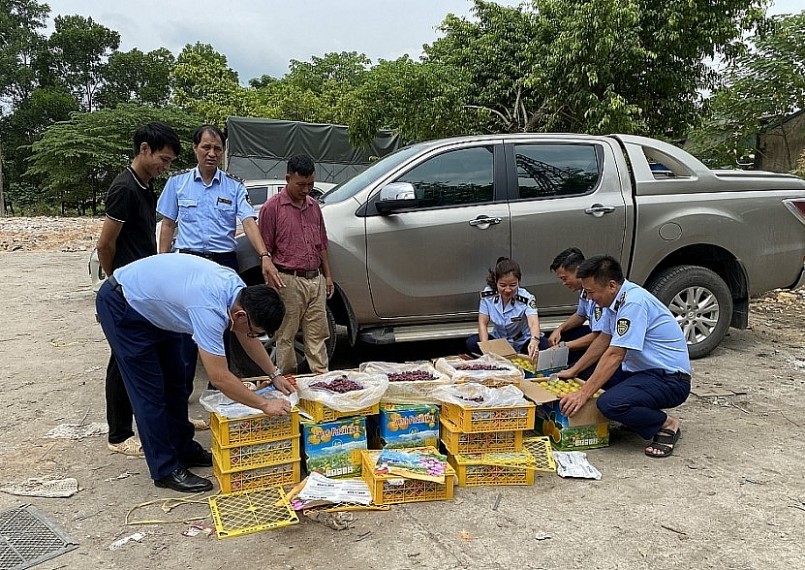 Đội QLTT số 2, Cục QLTT Thái Nguyên kiểm tra, phát hiện ô tô tải đang vận chuyển 205kg hoa quả không rõ nguồn gốc. Đội QLTT số 2, Cục QLTT Thái Nguyên kiểm tra, phát hiện ô tô tải đang vận chuyển 205kg hoa quả không rõ nguồn gốc.