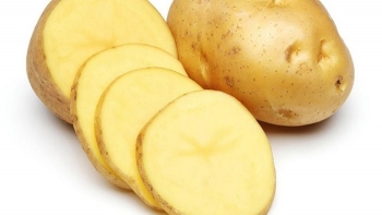 Một số loại thực phẩm tốt cho bé vào mùa đông