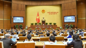 Cần nâng cao khả năng thích ứng và sức chống chịu của nền kinh tế