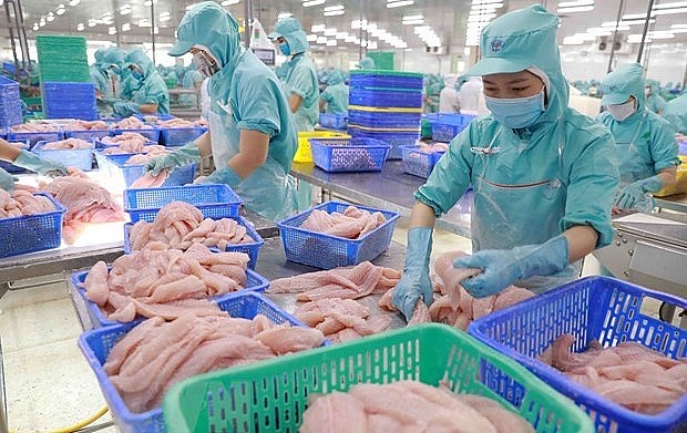 Chế biến cá tra phi lê xuất khẩu tại nhà máy của Công ty Cổ phần Đầu tư phát triển đa quốc gia (Tập đoàn Sao Mai)