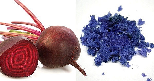 Ống hút gạo “hạ gục” đối thủ, giành giải nhất Dự án khởi nghiệp nông nghiệp Ống hút gạo “hạ gục” đối thủ, giành giải nhất Dự án khởi nghiệp nông nghiệp