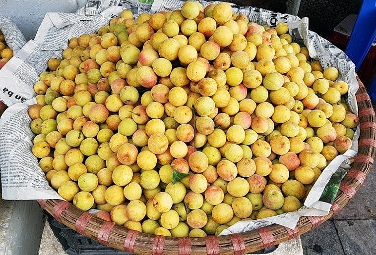 Giá mơ dao động từ 35.000-40.000 đồng/kg. 