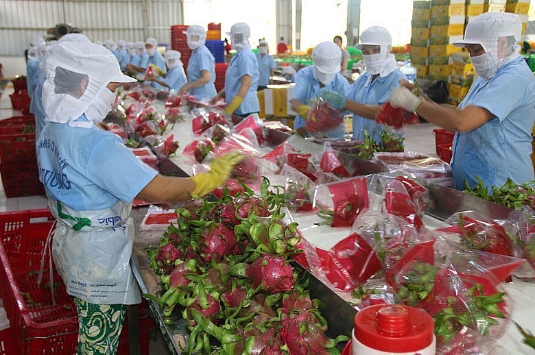EU là thị trường yêu cầu rất khắt khe với các quy định về hàng rào kỹ thuật, dư lượng thuốc bảo vệ thực vật, chất cấm... 