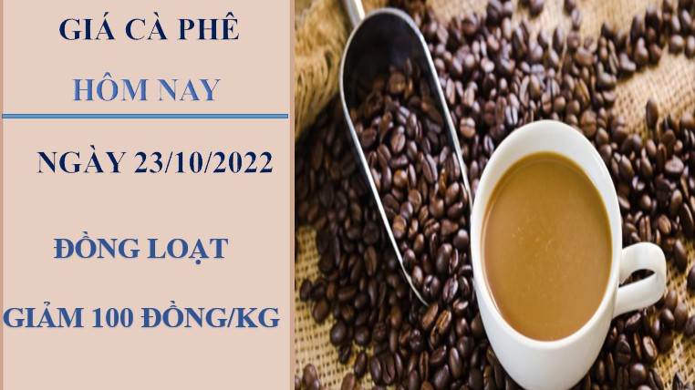 Giá cà phê hôm nay 23/10/2022: Giảm nhẹ toàn thị trường