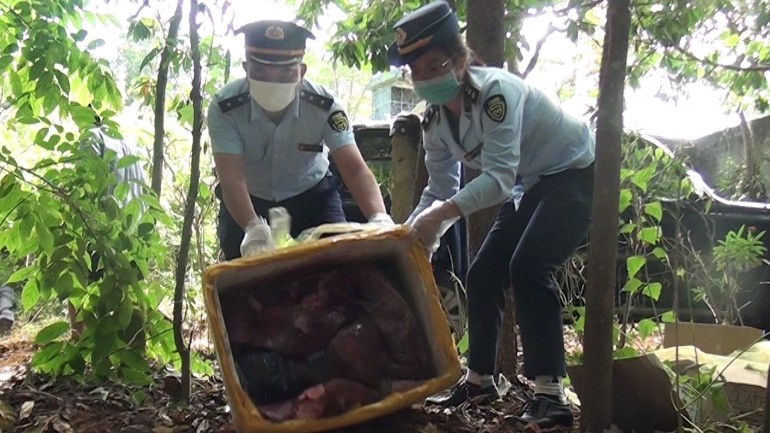Sơn La: Phát hiện 215 kg nội tạng bốc mùi hôi thối đi tiêu thụ