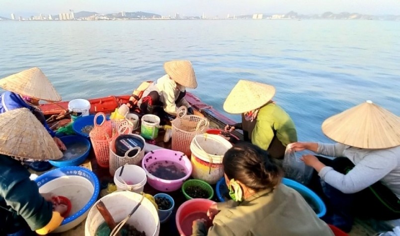 Tranh thủ khoảng thời gian đò di chuyển, người thì rửa hà, nhặt ốc, người phân loại sản phẩm kịp phiên chợ chiều.