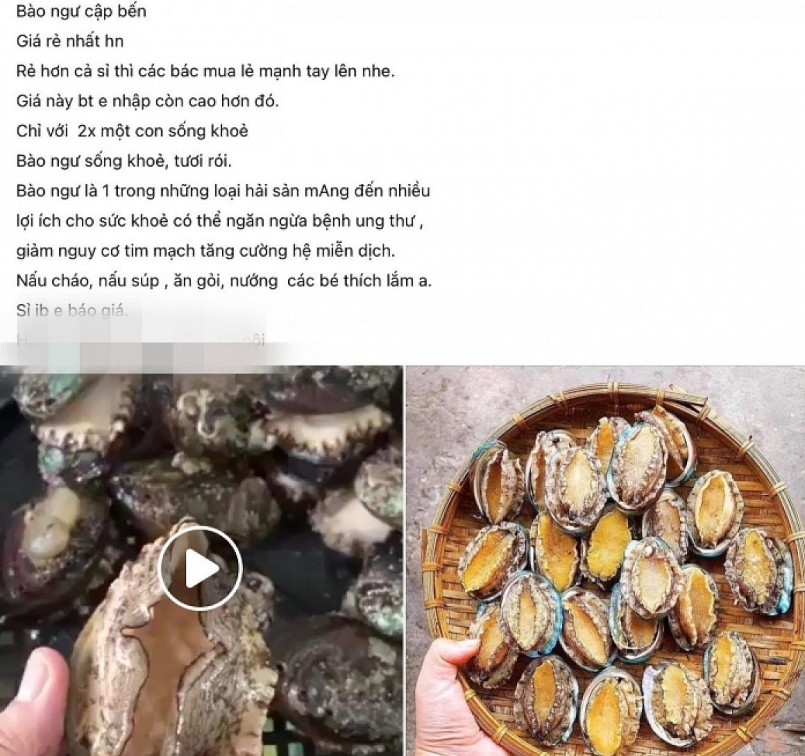 Bào ngư giá rẻ được quảng cáo có nhiều công dụng tốt cho sức khoẻ.