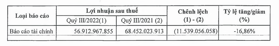 Lợi nhuận của DDV Lợi nhuận của DDV