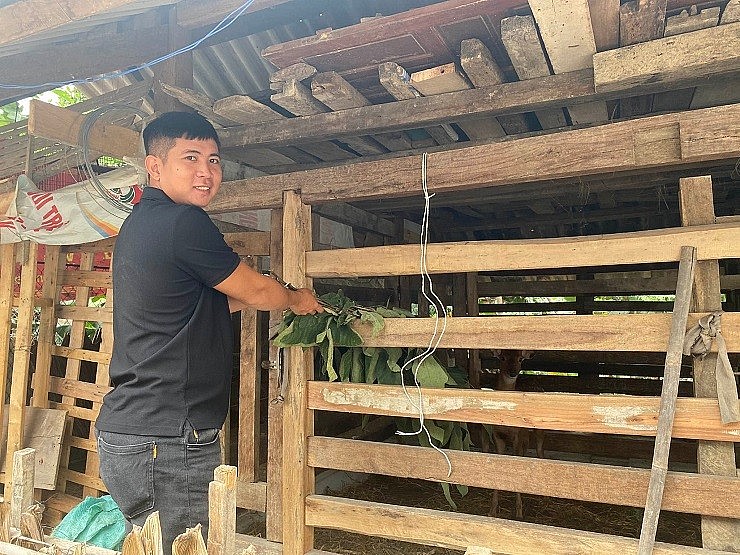 Lương công nhân không đủ sống, anh Tiến quyết định về quê nuôi hươu và buôn bán nhung hươu
