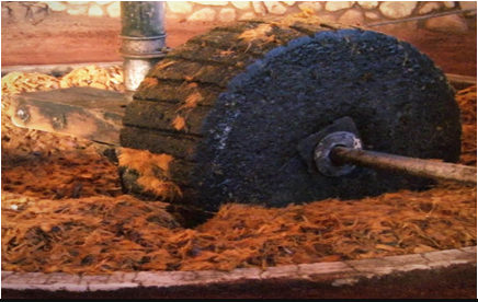 Bảo hộ chỉ dẫn địa lý “TEQUILA” cho sản phẩm rượu