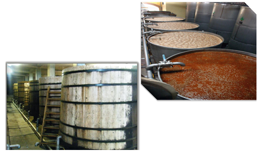 Bảo hộ chỉ dẫn địa lý “TEQUILA” cho sản phẩm rượu