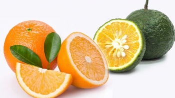 Giá trị dinh dưỡng từ quả cam