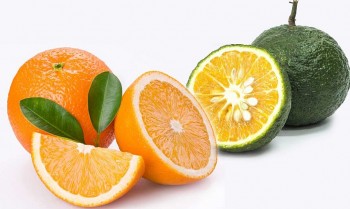 Giá trị dinh dưỡng từ quả cam