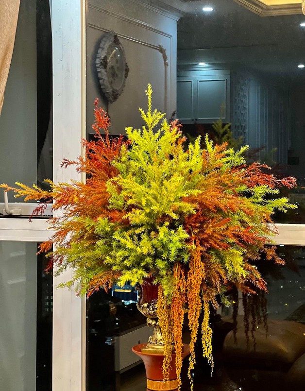 Theo chị Ngà, giá bán cành lá hoàng kim vào khoảng 200 - 300 nghìn đồng, tuỳ thuộc vào từng thời điểm.