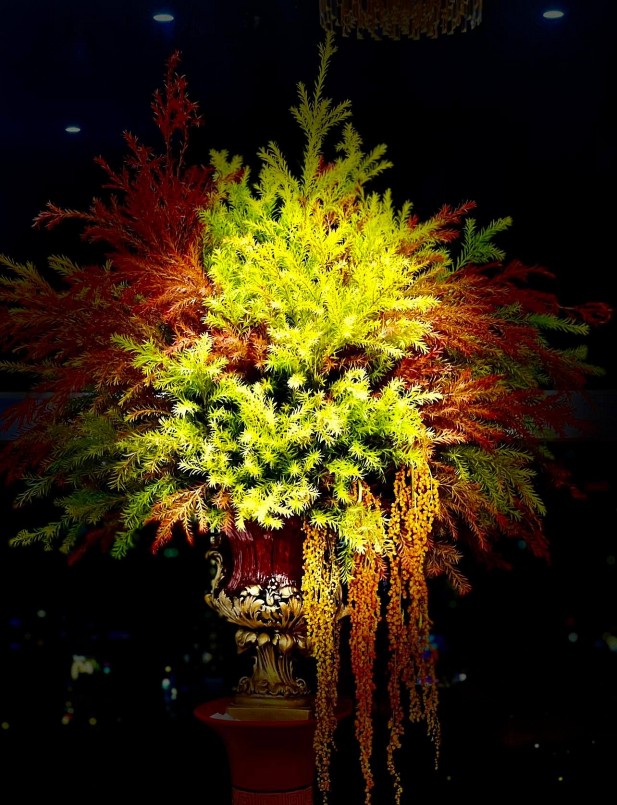 Chúng có thể để cắm chơi đến nửa tháng nếu thời tiết mát mẻ.