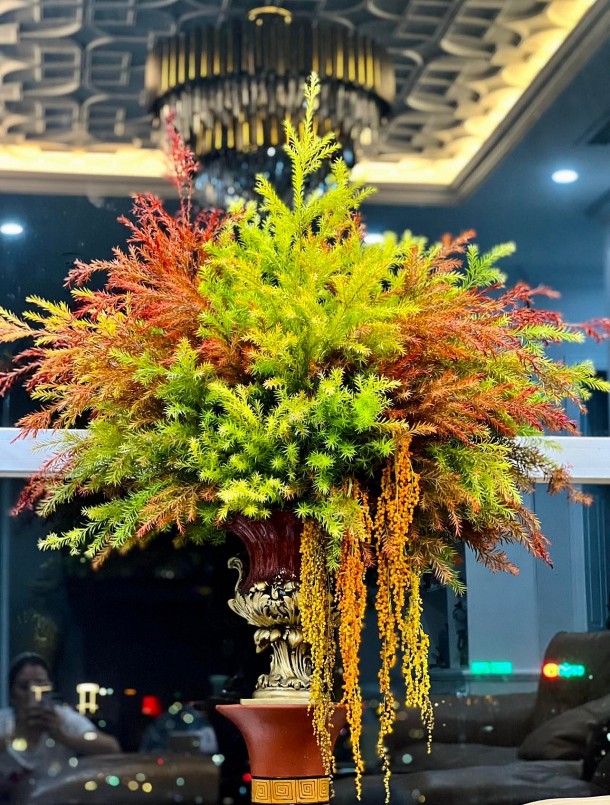 Bình lá hoàng kim 5 bó, trị giá 1 triệu đồng của chị Huệ. 