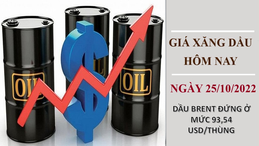 Giá xăng dầu hôm nay 25/10/2022: Dầu thô lấy lại đà tăng