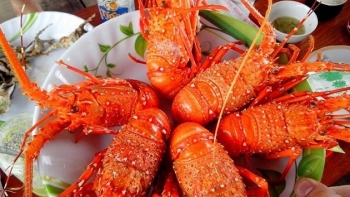 “Soi” giá thực phẩm trong tiệc cưới hoa hậu Đỗ Mỹ Linh