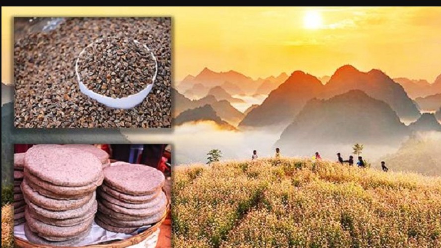 Bánh làm từ hạt hoa, nghe lạ mà lại là đặc sản nổi tiếng